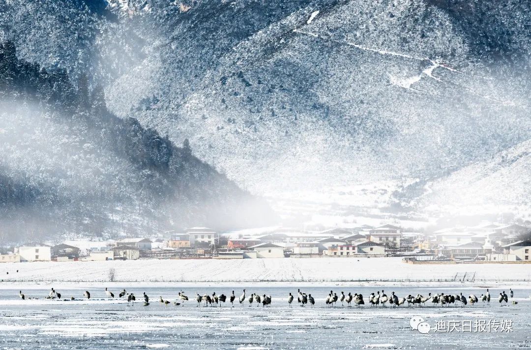 迪庆日报传媒(微信)