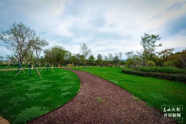 春城晚报(微信)