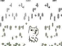 昭通日报(微信)