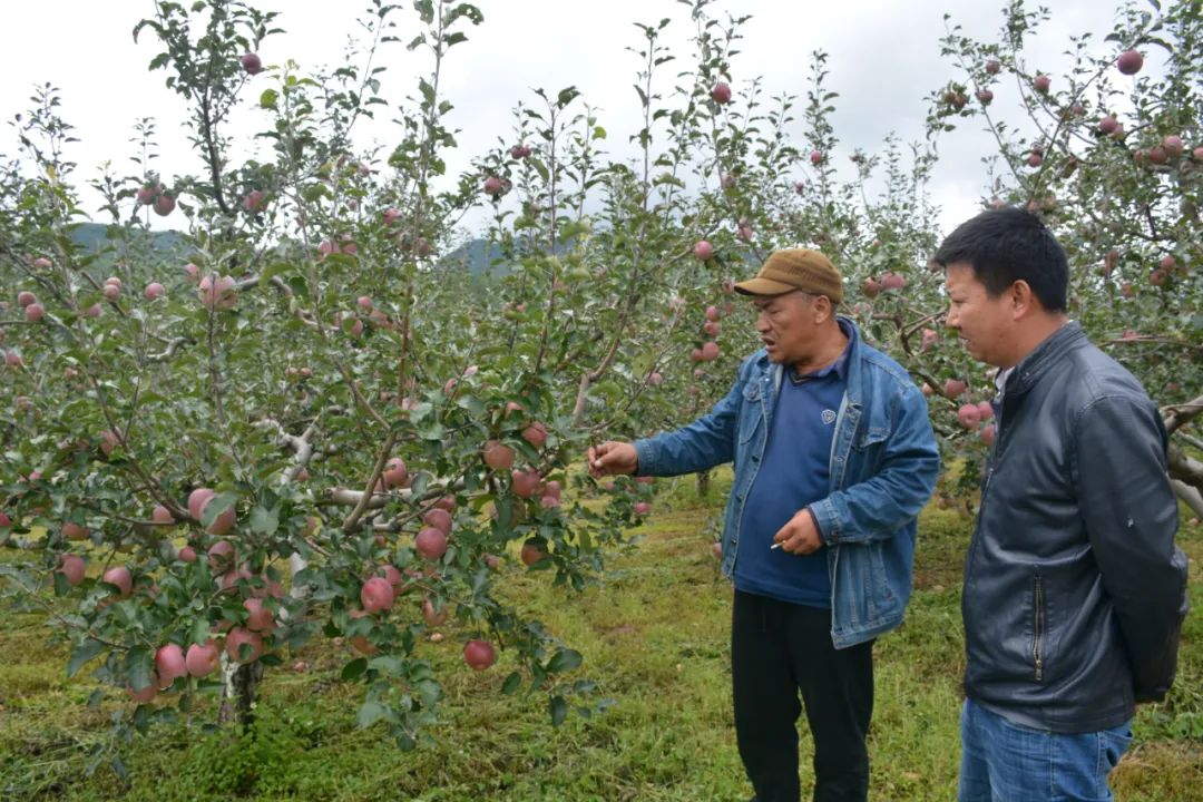丽江日报(微信)