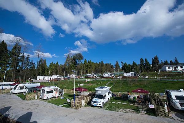 云南省人民政府网