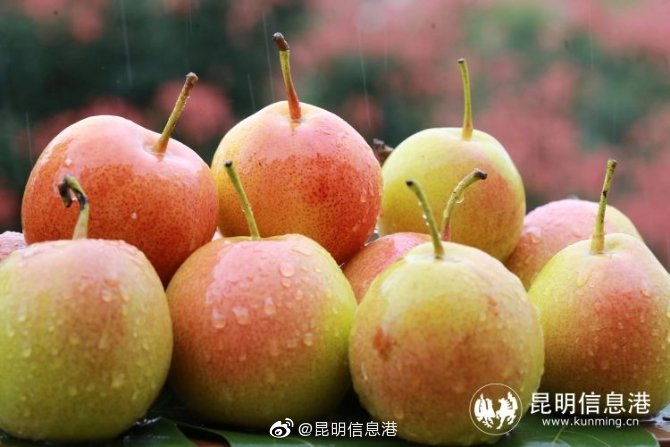 昆明信息港微博