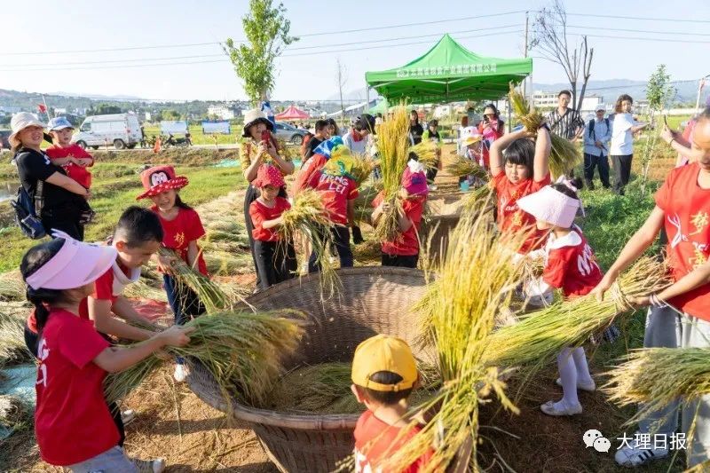大理日报(微信)
