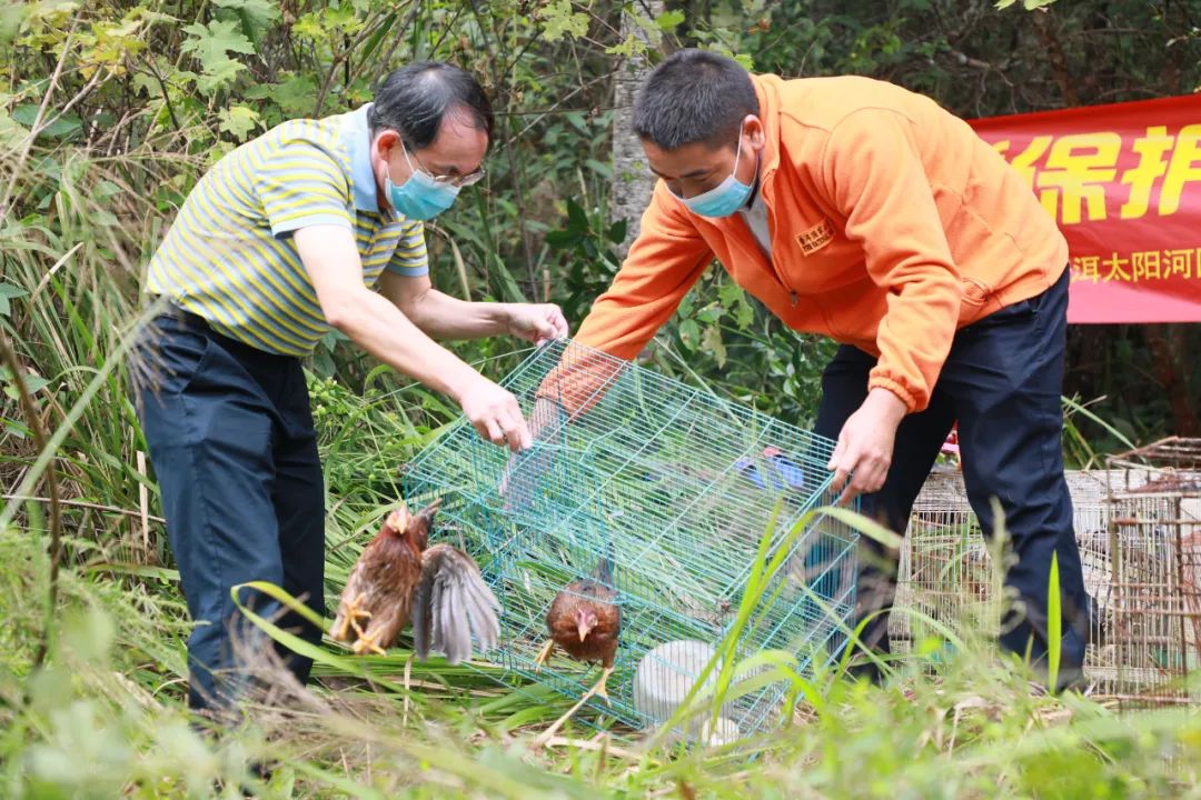 普洱日报(微信)