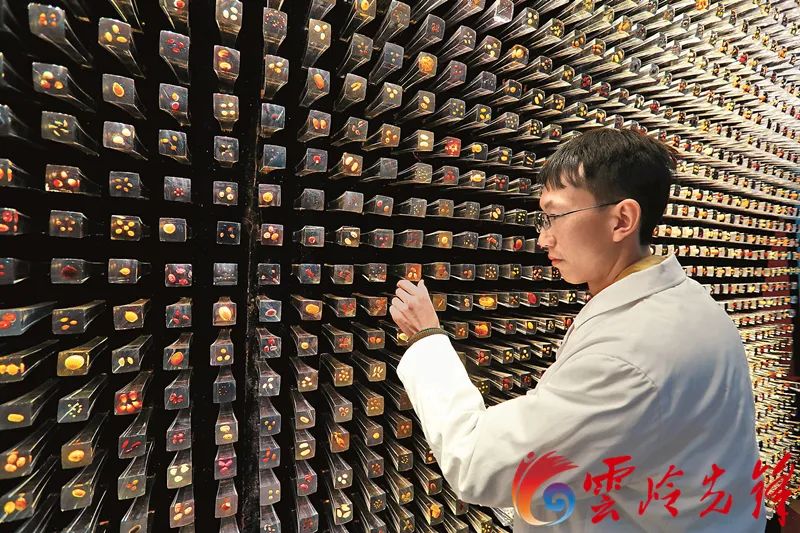 玉溪发布(微信)