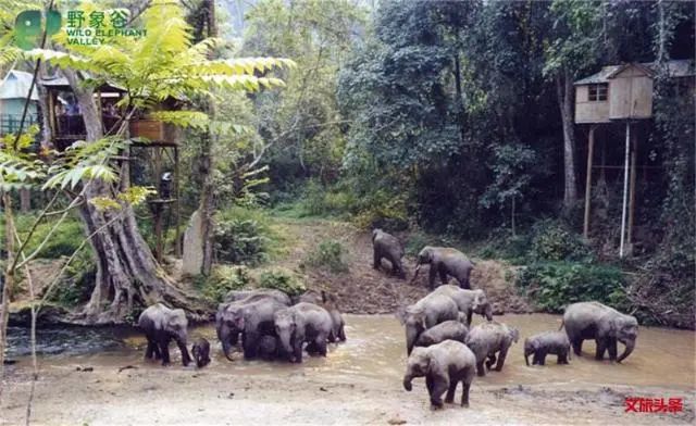 昆明滇池国家旅游度假区管理委员会(微信)