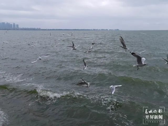 昆明滇池国家旅游度假区管理委员会(微信)