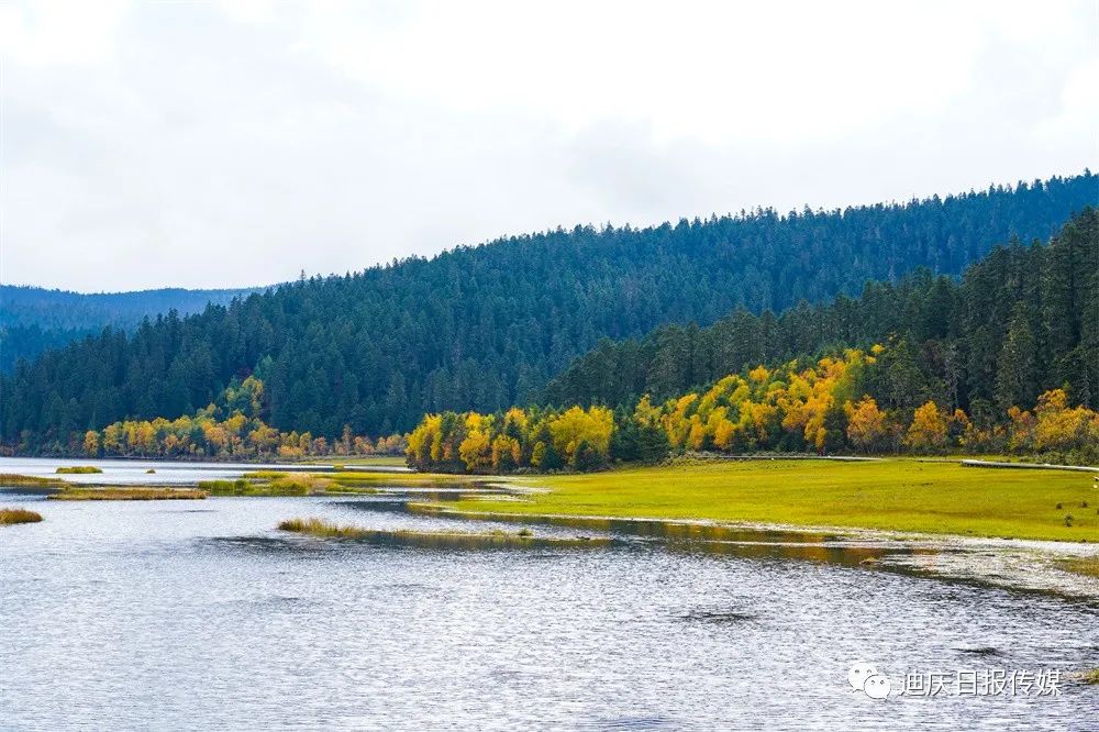 迪庆日报传媒(微信)