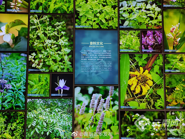 “昆明五华发布”微博