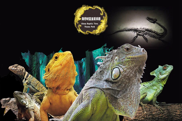 春城晚报(微信)