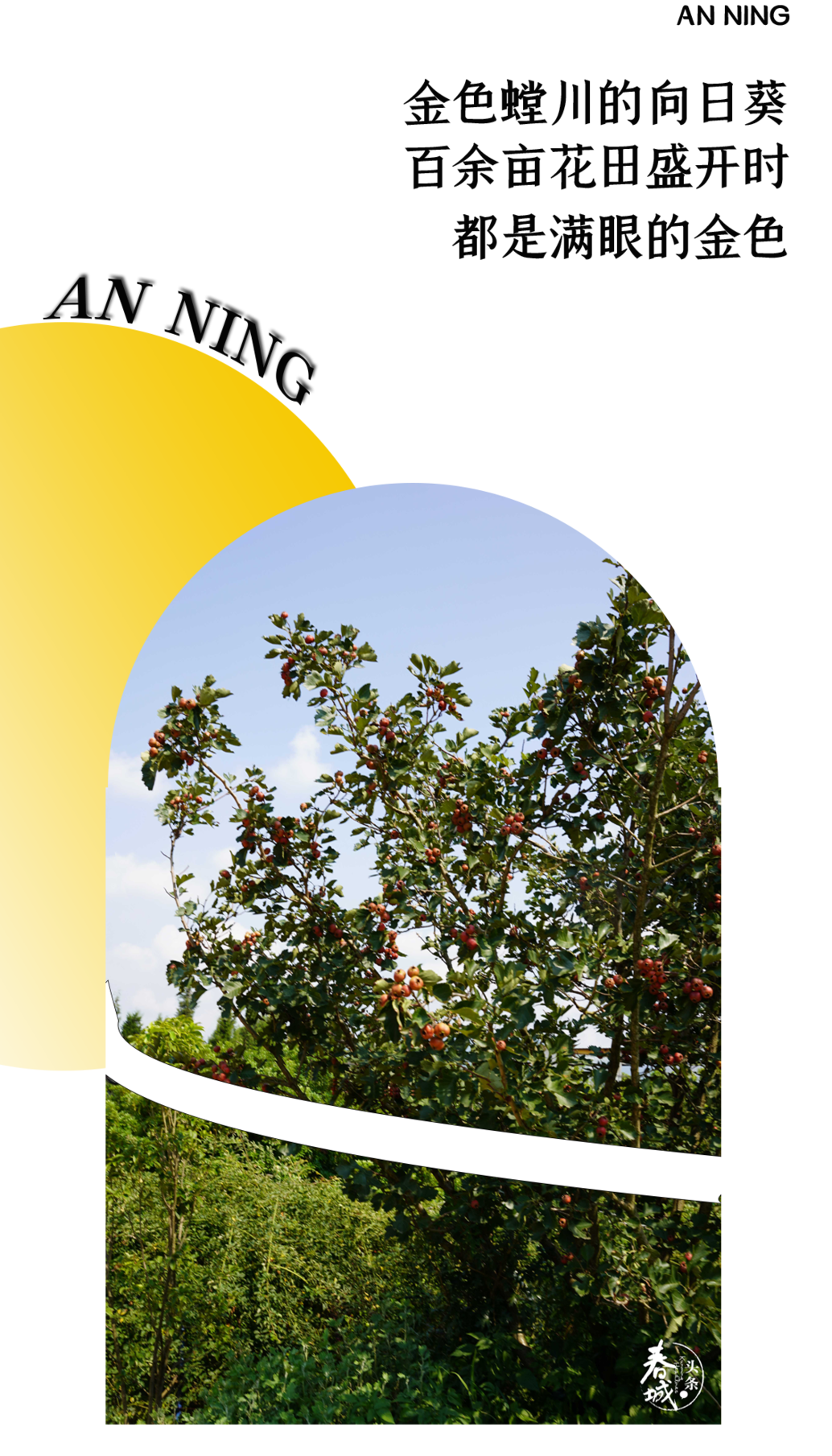 昆明发布(微信)