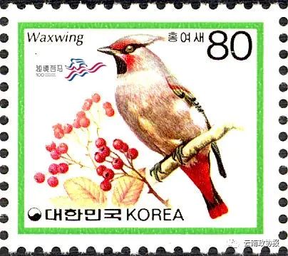 云南政协报(微信)