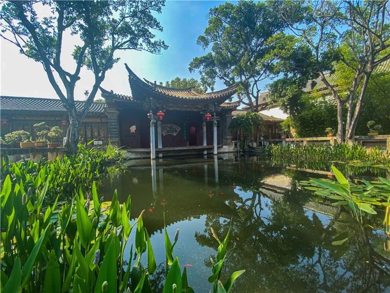 云南省人民政府网