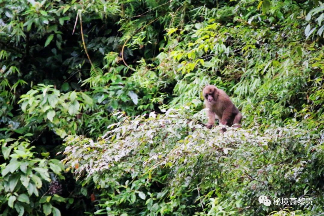 云南广播电视台(微信)