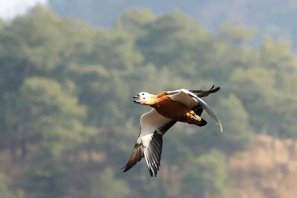 云南广播电视台(微信)