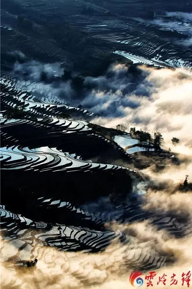 云岭先峰(微信)