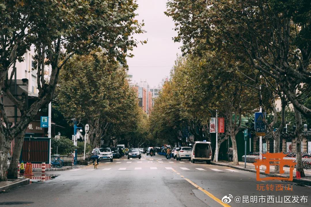 “昆明市西山区发布”微博