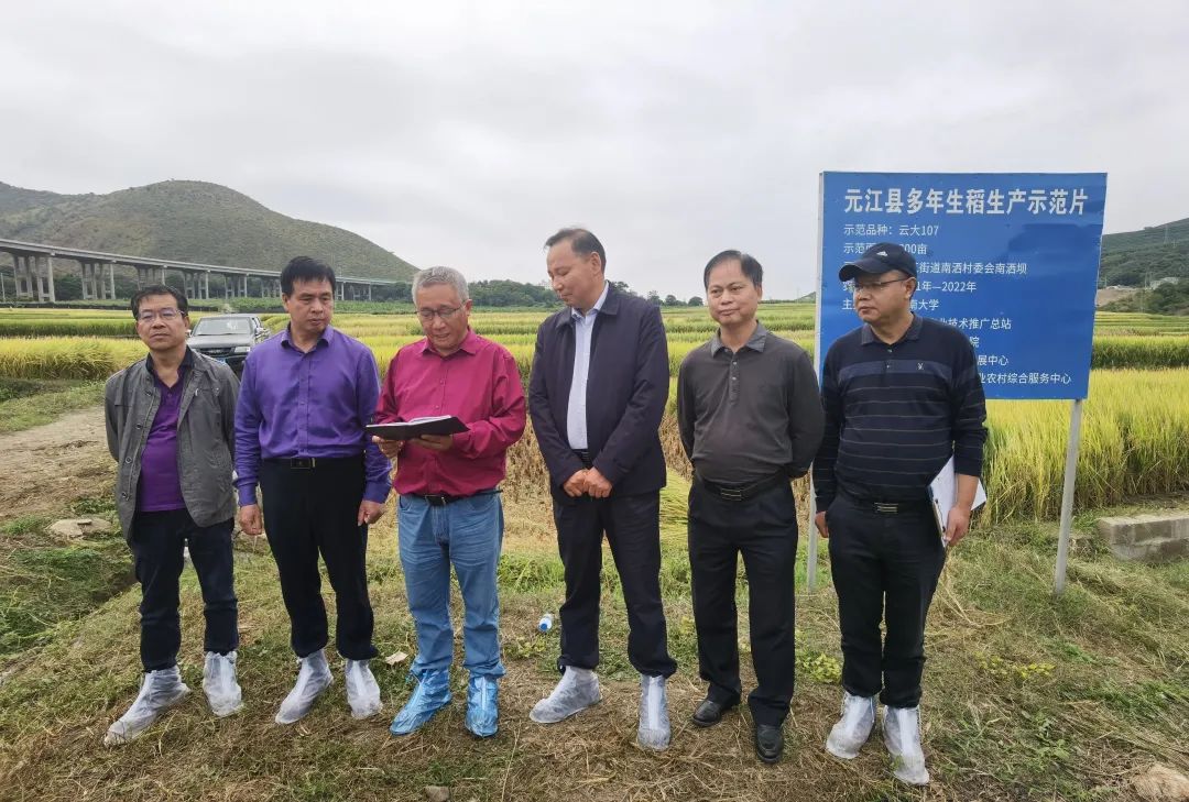 玉溪发布(微信)