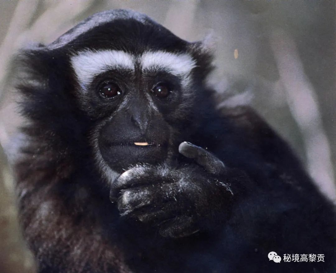 云南广播电视台(微信)