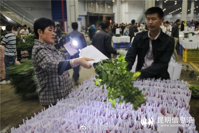 昆明信息港微博