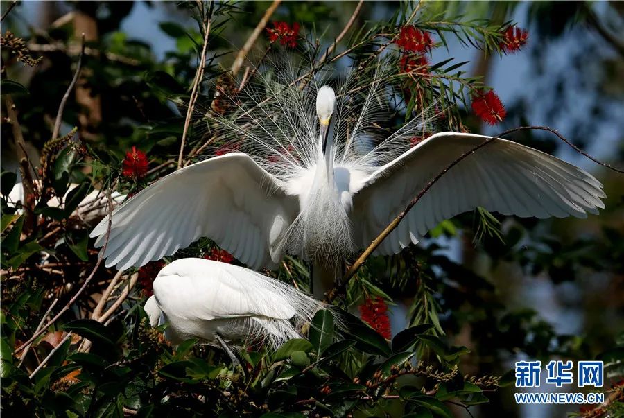 云南广播电视台(微信)