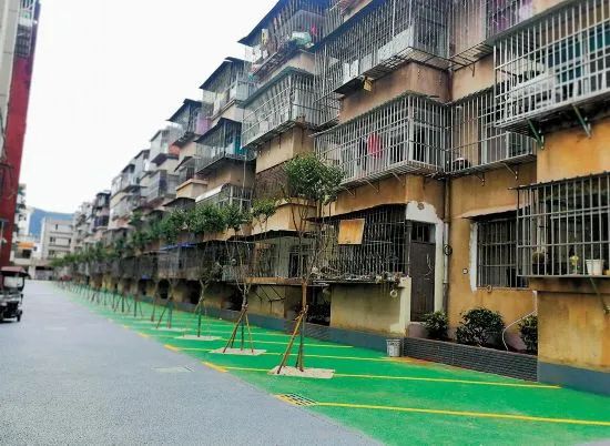 云南省人民政府网