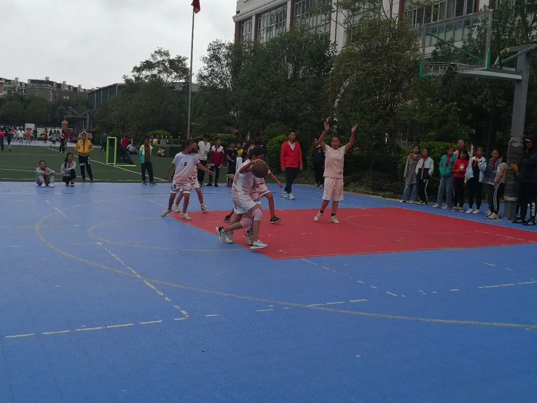 盘龙教育(微信)