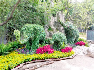 昆明信息港微博