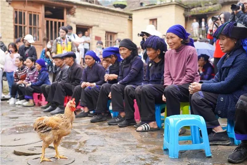 红河文旅(微信)