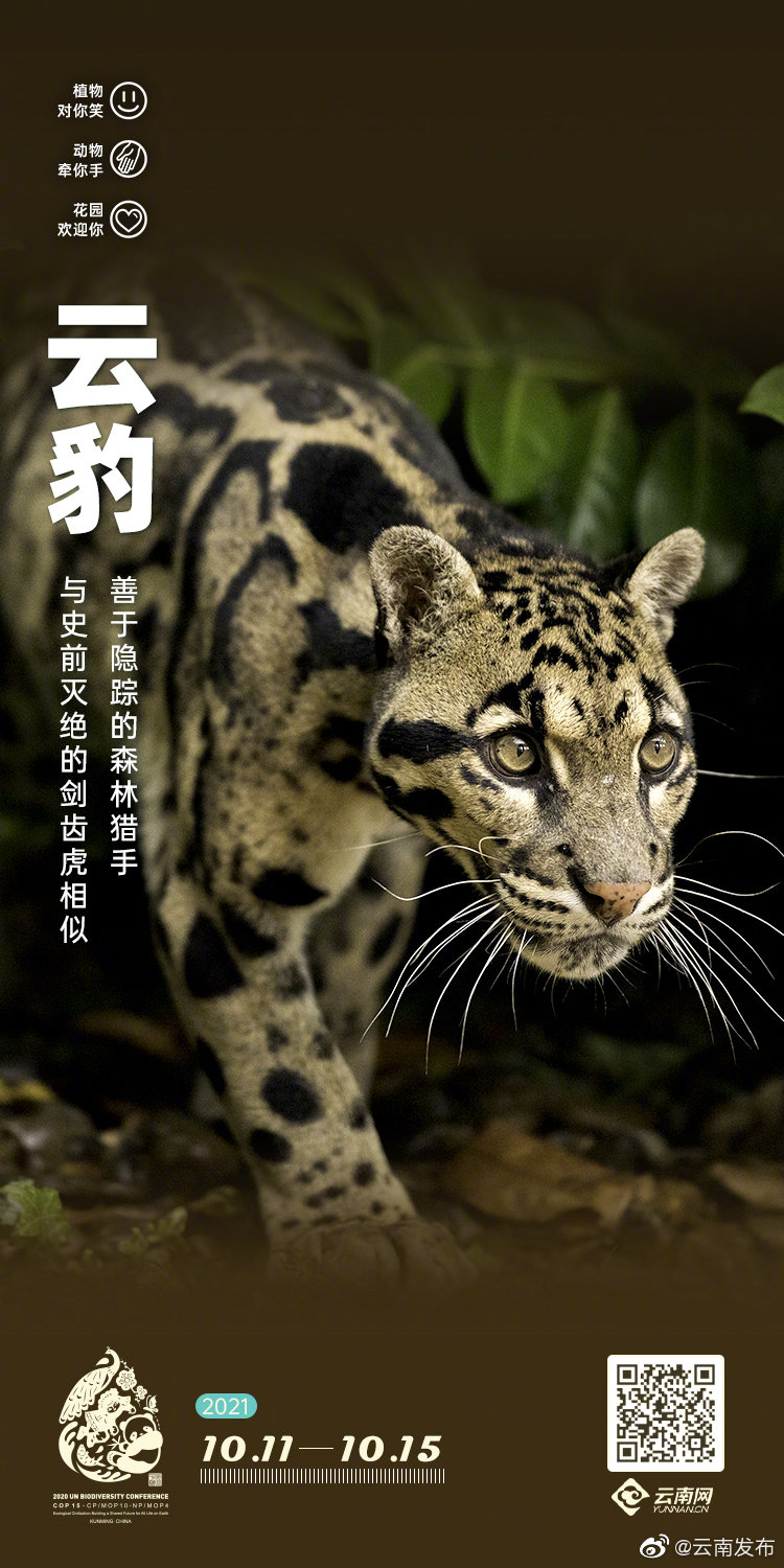 “云南发布”微博