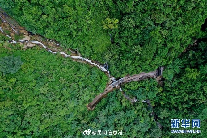 昆明信息港微博