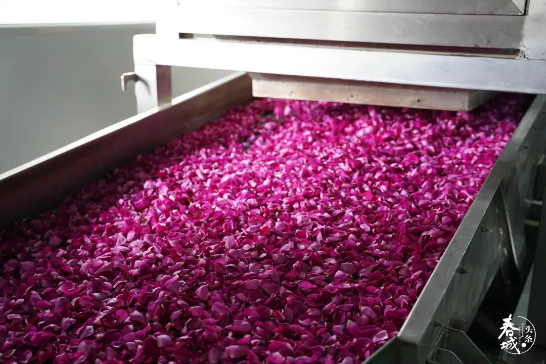 昆明发布(微信)