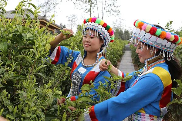 云南省人民政府网