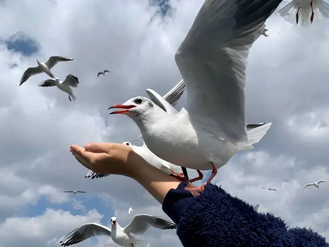 昆明铁路(微信)