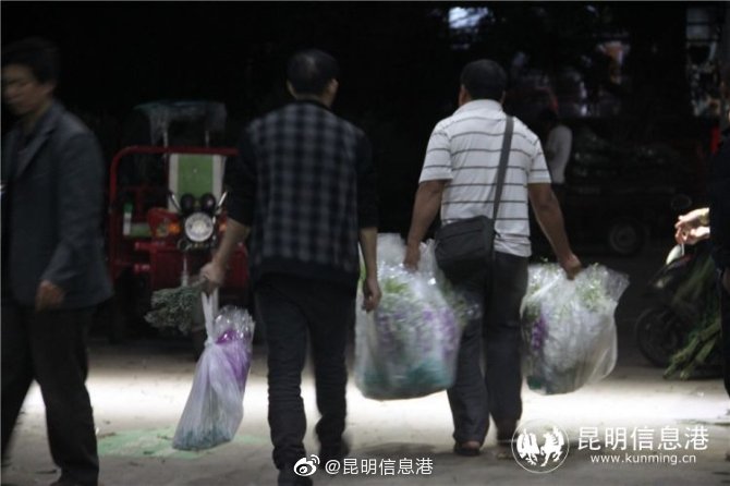 昆明信息港微博