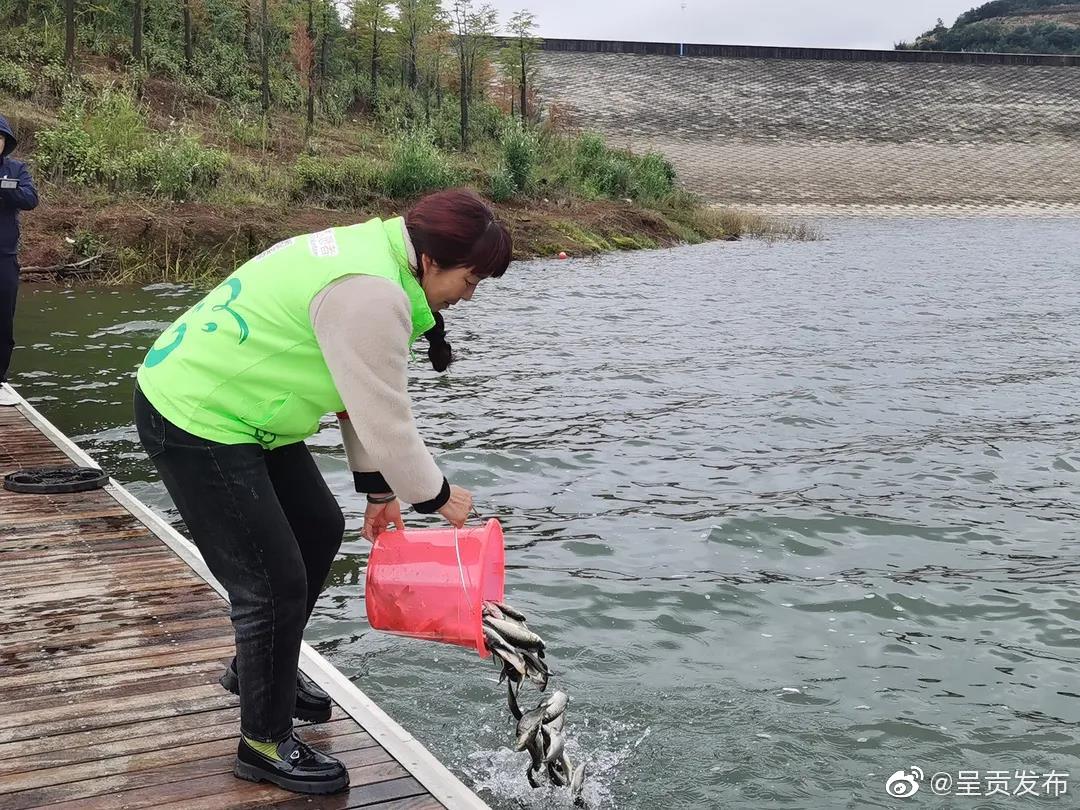 呈贡发布