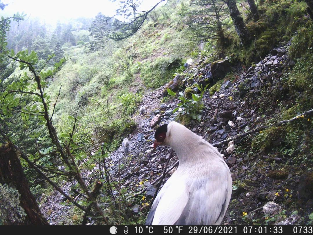 丽江日报(微信)