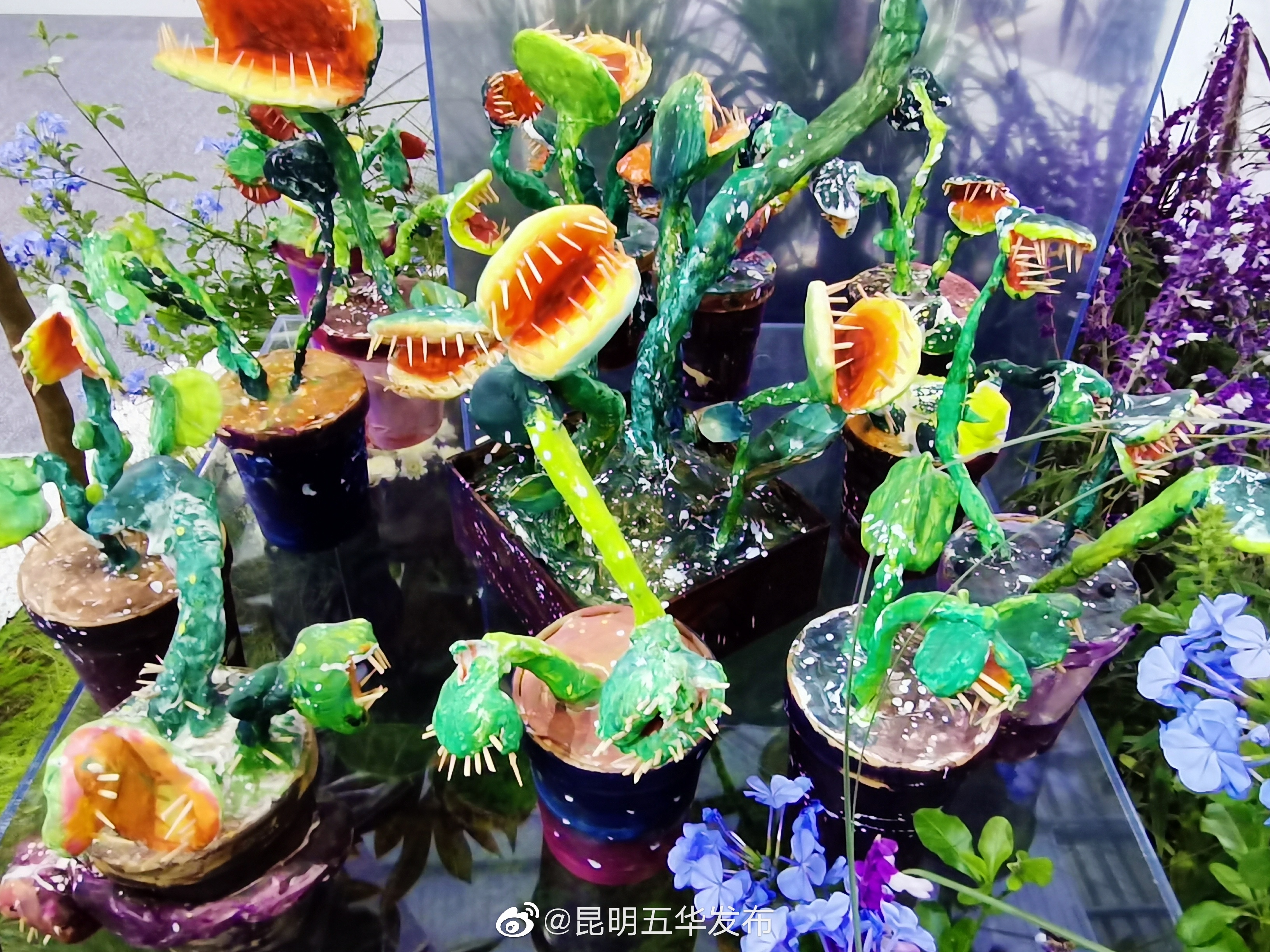 “昆明五华发布”微博