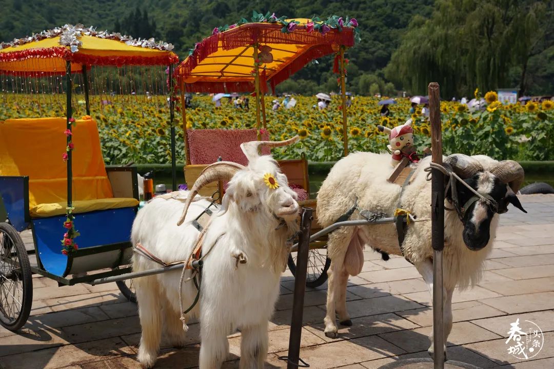 昆明发布(微信)