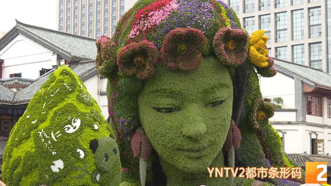 云南广播电视台(微信)