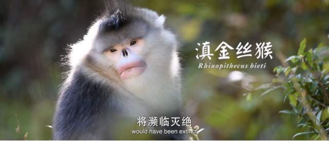 玉溪发布(微信)