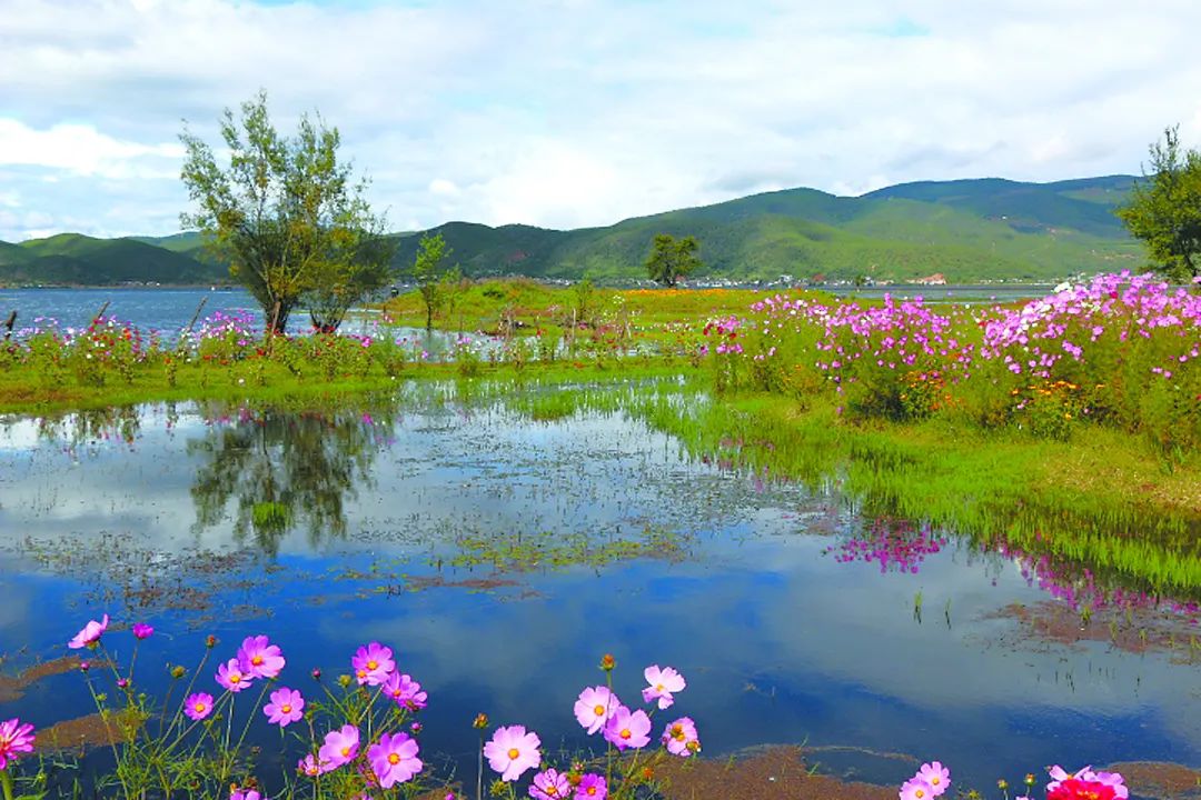 昆明铁路(微信)