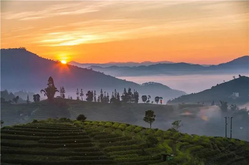 普洱日报(微信)