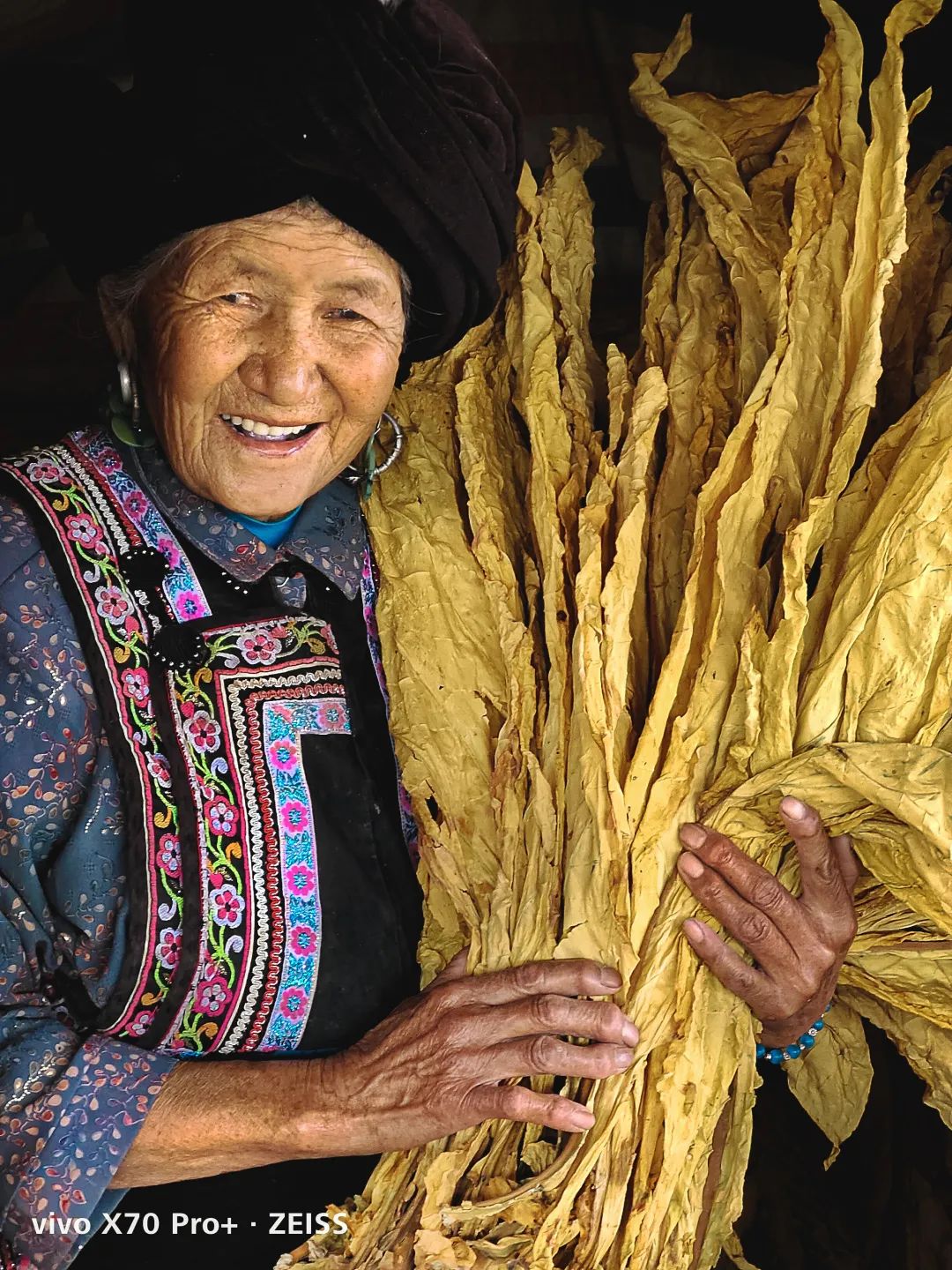 春城晚报(微信)