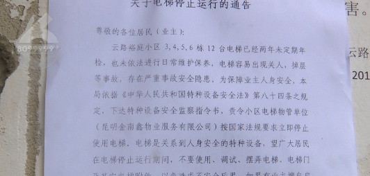 掌上春城(微信)