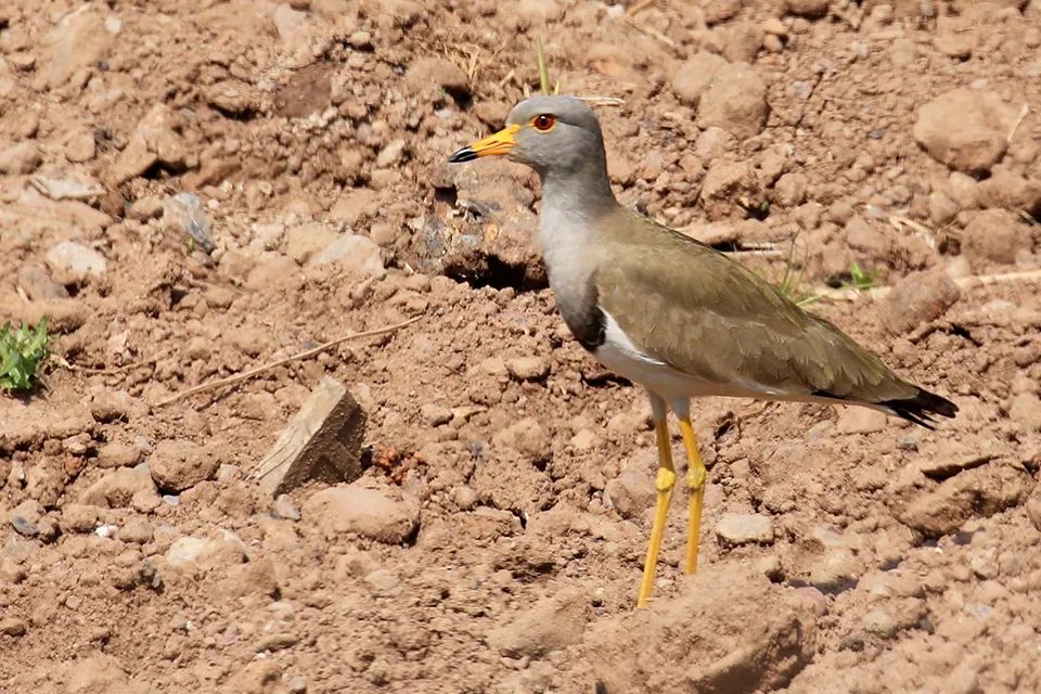 云南广播电视台(微信)