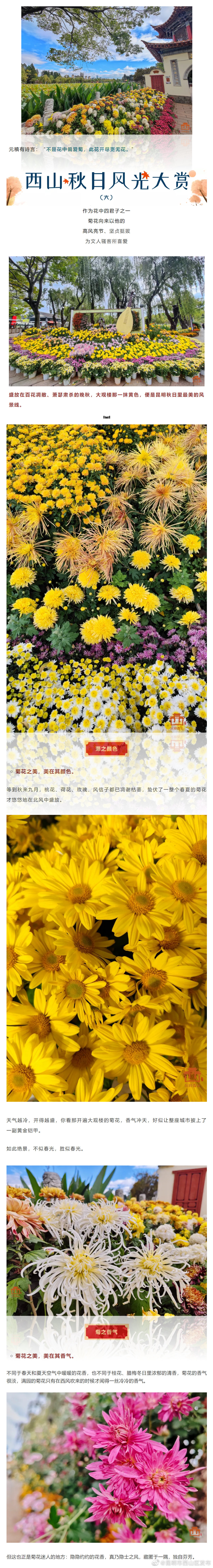 “昆明市西山区发布”微博
