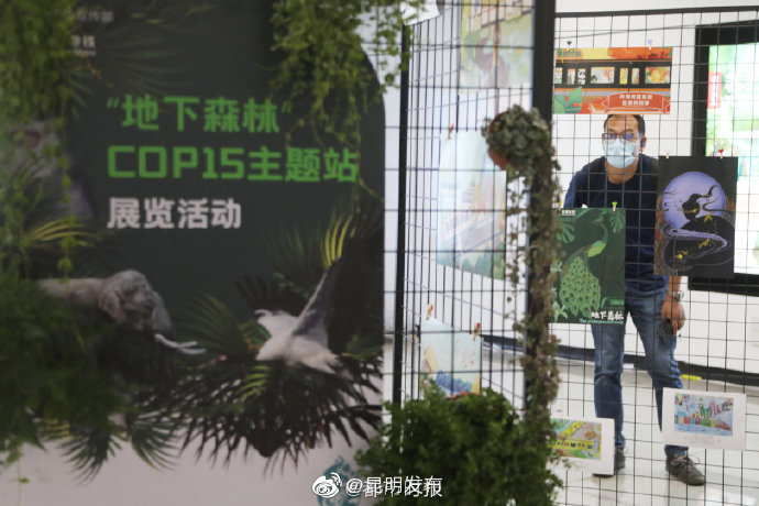 “昆明发布”微博