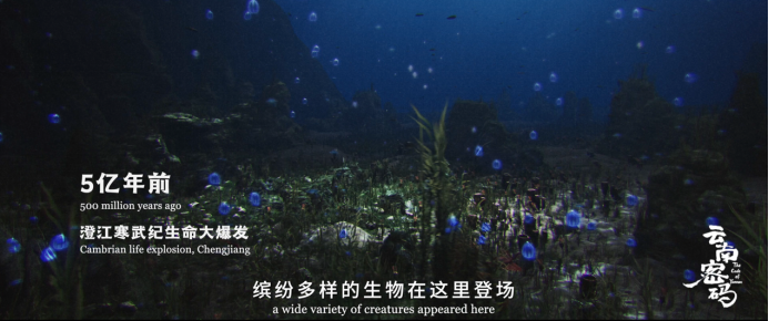 玉溪发布(微信)