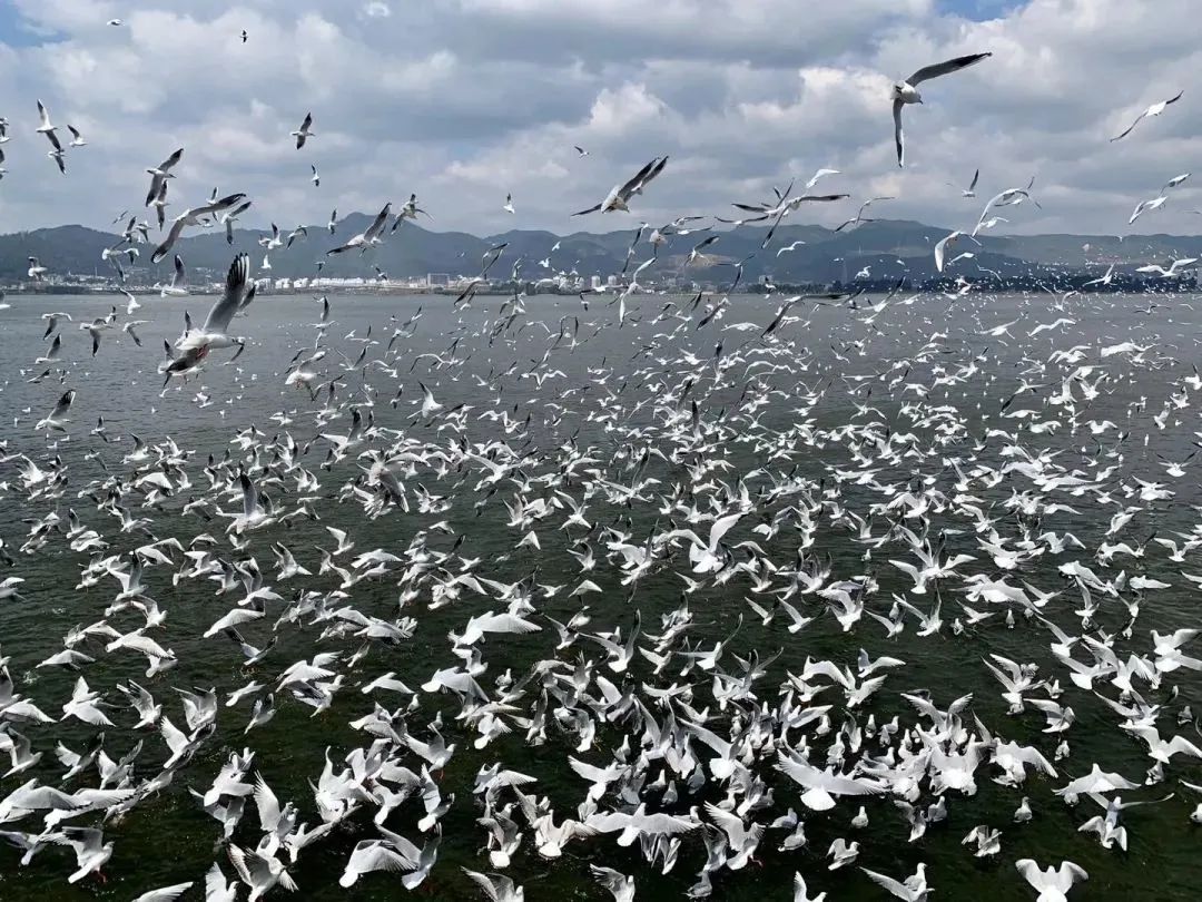 昆明铁路(微信)